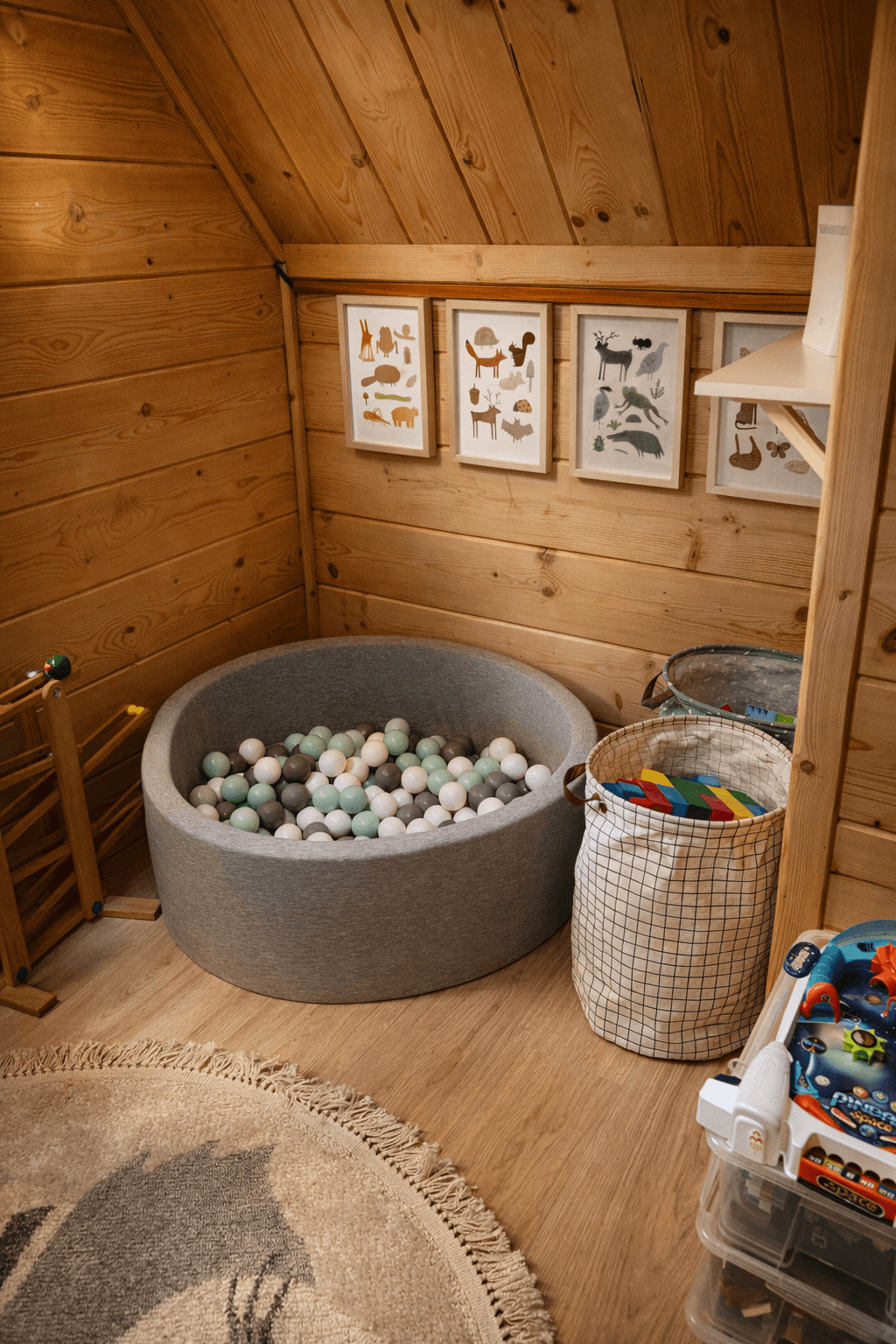 Pokój zabaw dla dzieci z basenem z kulkami