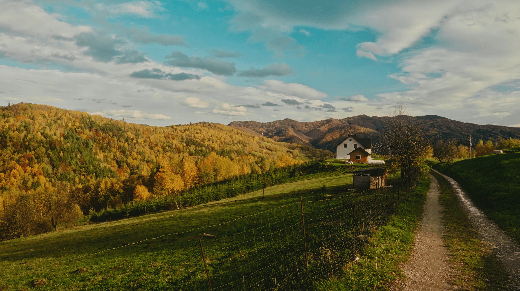 Widok na okolicę - widok 1.