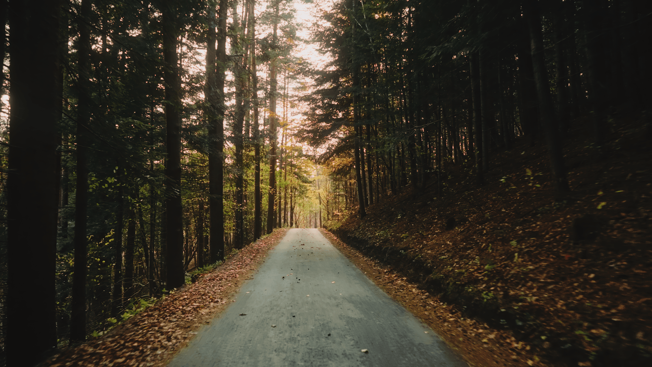 Widok na okolicę - widok 3.